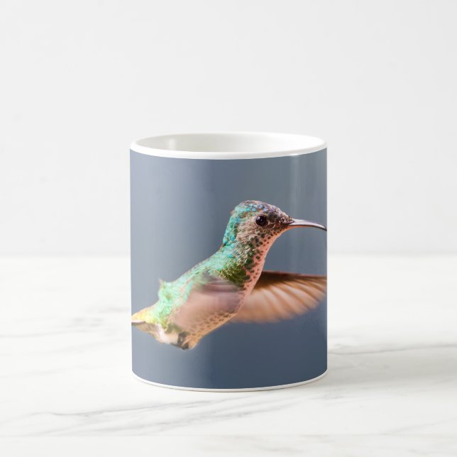 Mug Colibri saphir à queue dorée femelle en vol (Centre)