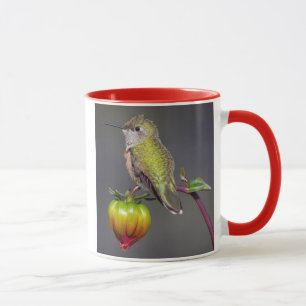 Mug Colibri se repose sur un bouton de fleur