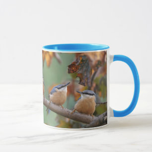 Mug Collage de sittelle