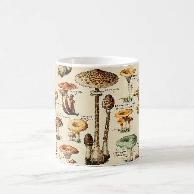Mug Collection de champignons (Centre)
