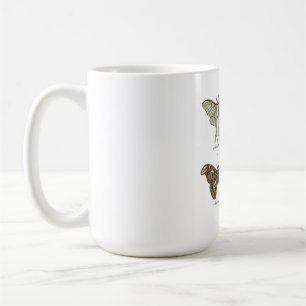 Mug Collection de papillons de nuit vintage Entomologi
