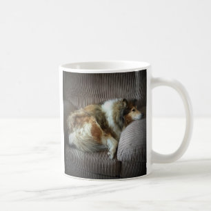 Mug Colley à poil long sur fauteuil