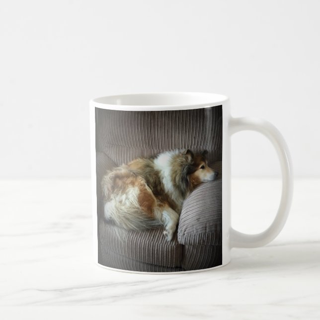 Mug Colley à poil long sur fauteuil (Droite)