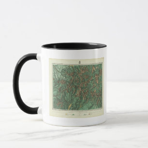 Mug Colorado 5