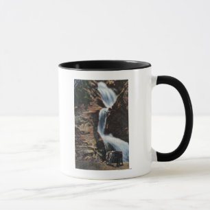 Mug Colorado Springs, Co - abaissez trois de l'automne
