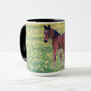 Mug Colt dans le champ de Dandelion