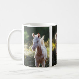 Mug Colt de Ki Cremello Thoroughbred
