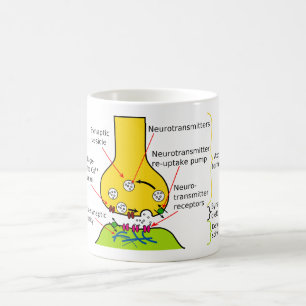 Mug Comment des signaux de nerf sont envoyés avec des