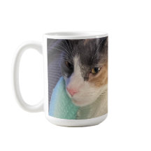 Comment tu félines ?