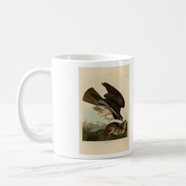 Mug Common Buzzard - d'Audubon's Birds of America (Gauche)