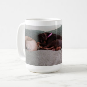 Mug Compagnons