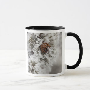 Mug Cône de pin de Lodgepole en hiver dans Yellowston