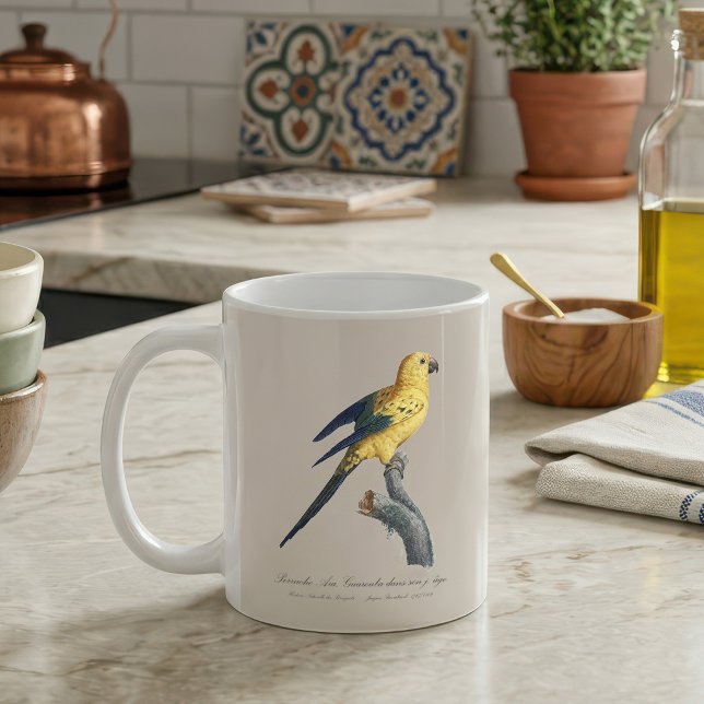Mug Conure soleil ou Aratinga solstitialis (Guarouba dans sons jeune age / Sun parakeet. Coffee Mug)