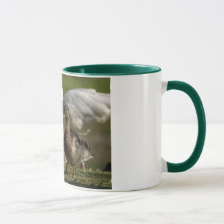 Mug Convention de canard