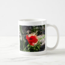 Coquelicot rouge