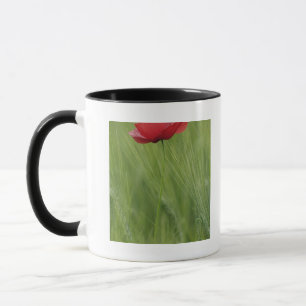 Mug Coquelicot rouge parmi les cultures de blé, Toscan