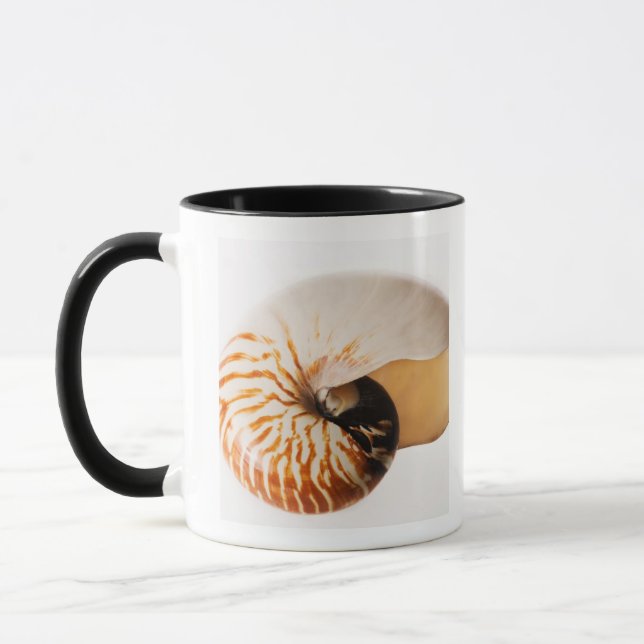 Mug Coquillage de Nautilus (stenomphalus de Nautilus) (Gauche)