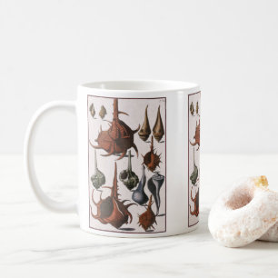 Mug Coquillages, Coquillages de mer vintage, Vie marin
