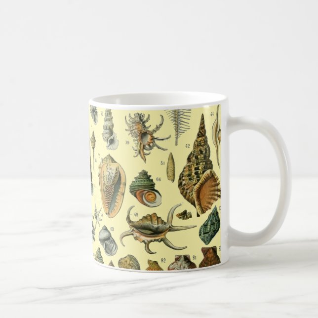 Mug Coquillages de coquillages Mollusk Clam Élégant Ar (Droite)