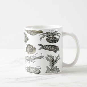 Mug Coquillages sur le bord de mer