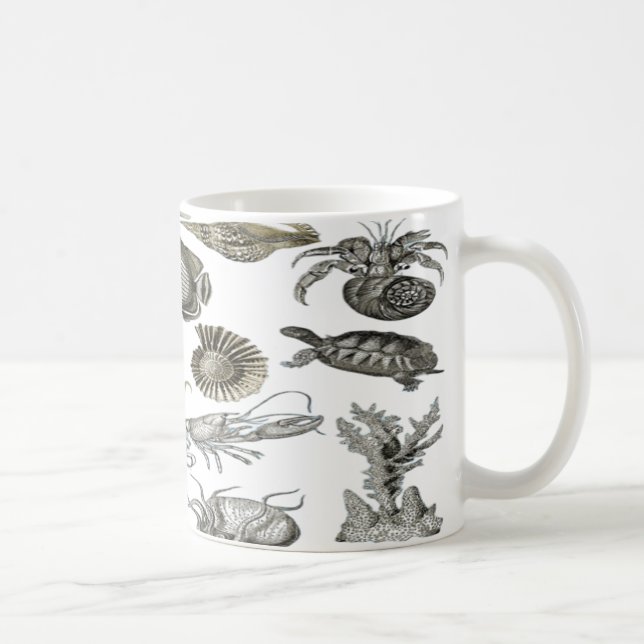 Mug Coquillages sur le bord de mer (Droite)