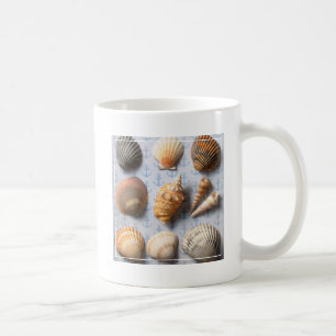 Mug Coquillages sur le contexte d'Ancre