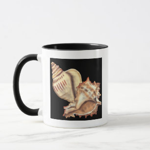 Mug Coquilles artistiques de conque