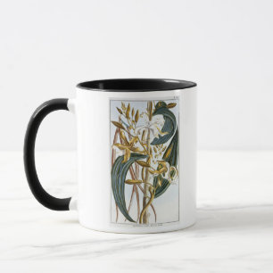 Mug Cosses de vanille, plat 65, de 'collection