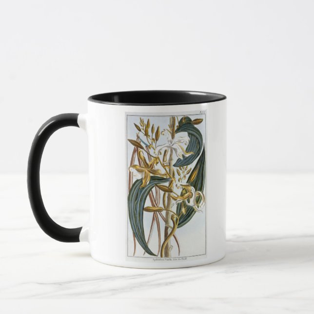 Mug Cosses de vanille, plat 65, de 'collection (Gauche)