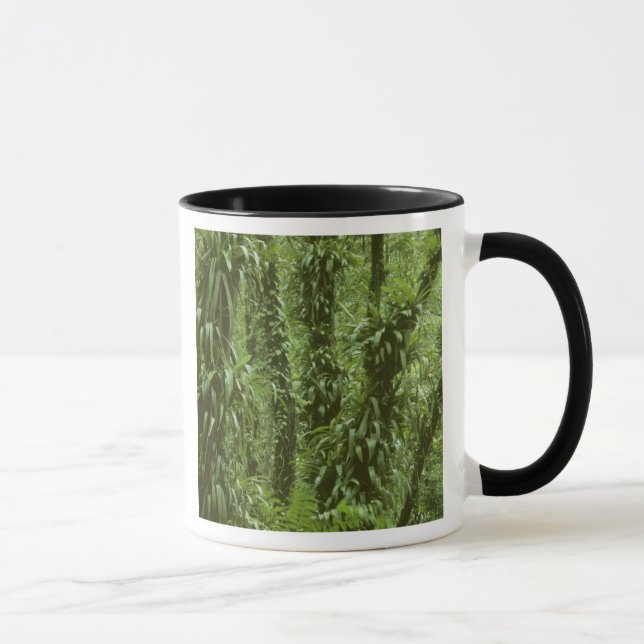 Mug Costa Rica, Parc national Arenal, forêt tropicale (Droite)