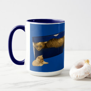 Mug "Cosy Hideaway : The Ginger Cat in the Shoe Box"
