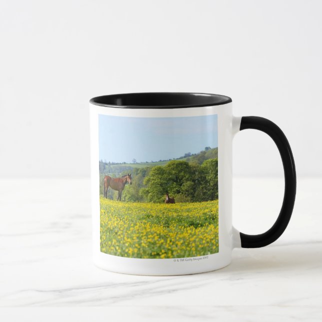 Mug Cotswolds, R-U (Droite)