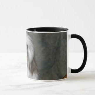 MUG COTTON-TOP TAMARIN2