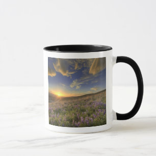 Mug Coucher de soleil sur les montagnes Bitterroot et 