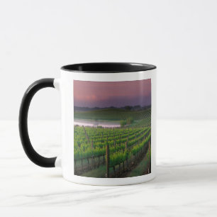 Mug Couleur du lever de soleil dans le brouillard loin