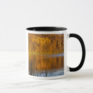 Mug Couleurs d'automne dans le parc d'État de Maplewoo