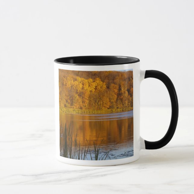 Mug Couleurs d'automne dans le parc d'État de Maplewoo (Droite)