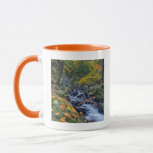 Mug Couleurs d'automne le long des chutes de Starvatio
