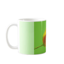 Coupe des Pays-Bas de football