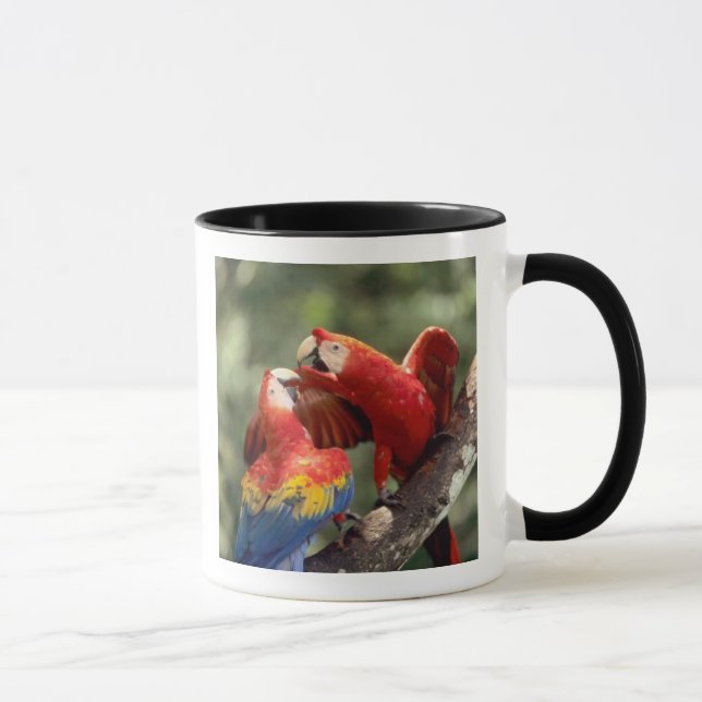 Mug Couple d'Ara rouge (Droite)