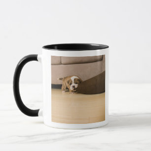 Mug Coussin acéré de chiot anglais de bouledogue