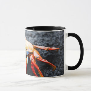 Mug Crabe de lightfoot de sortie sur une roche noire