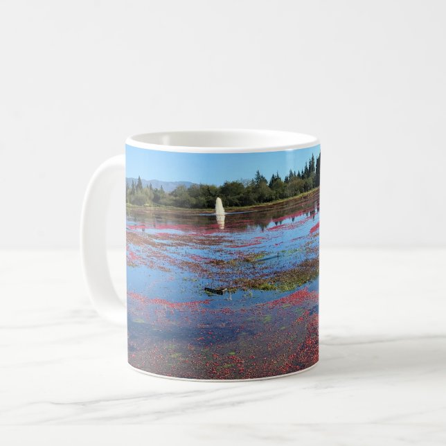 Mug Cranberry Farm, Long Beach, Washington (Devant gauche)