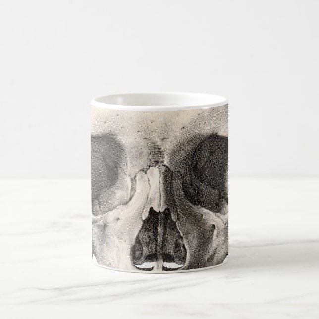 Mug Crâne d'anatomie humaine vintage, squelette d'Hall (Centre)