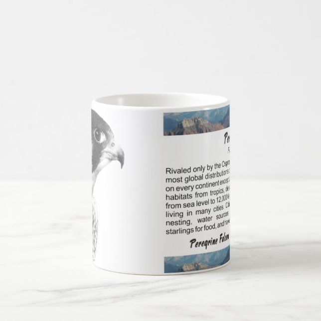 Mug Crayon de faucon pèlerin (Centre)
