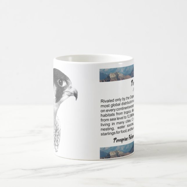 Mug Crayon de faucon pèlerin (Centre)