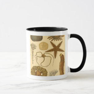 Mug Créatures sous-marines