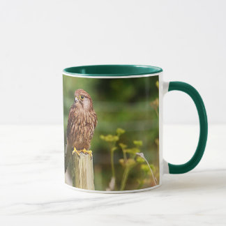 Mug Crécerelle