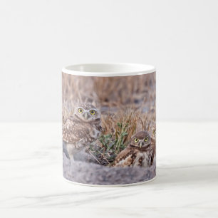 Mug Creuser des hiboux