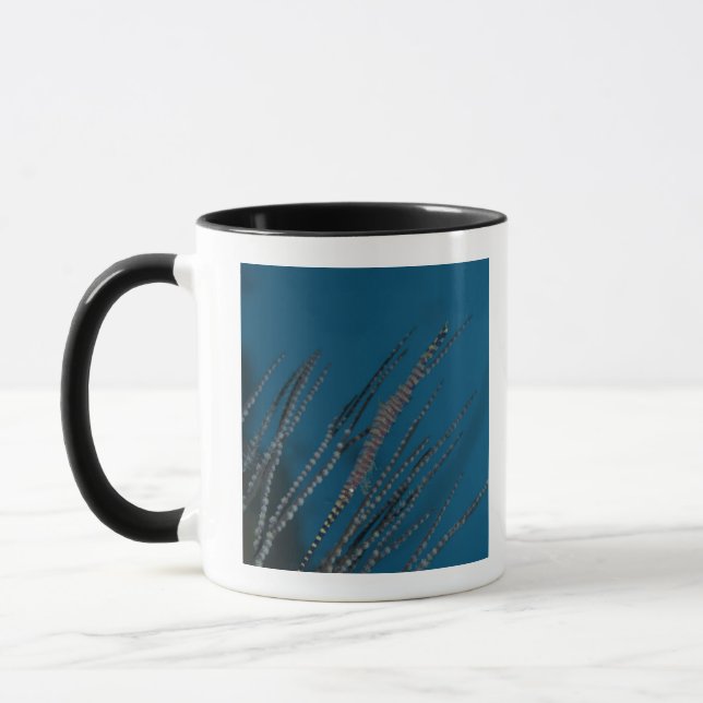 Mug Crevette d'aiguille (armatum de Tozeuma) (Gauche)